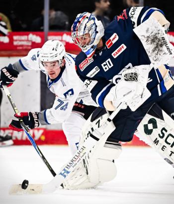 Adler Mannheim PC SWW v7
