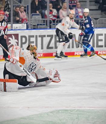 Adler Mannheim PC WOB v2