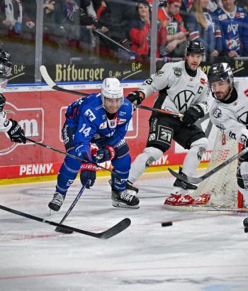 Adler Mannheim PC WOB v6