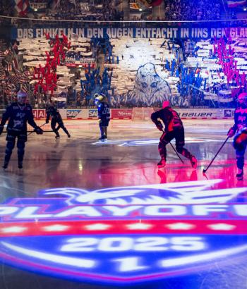 Adler Mannheim PO4 VVK