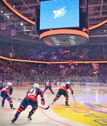 Adler Mannheim SWW ausverkauft