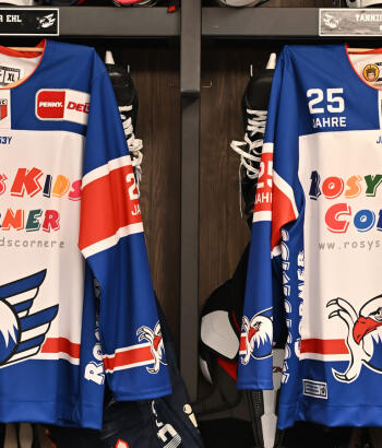 Adler Mannheim Sonderwarmup