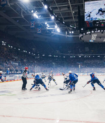 Adler Mannheim Spiel drei ausverkauft v2