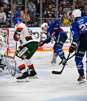 Adler Mannheim Spielbericht AEV v2