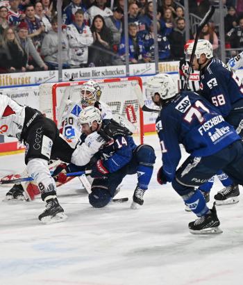 Adler Mannheim Spielbericht BHV