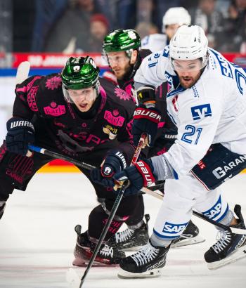Adler Mannheim Spielbericht EBB neu