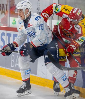 Adler Mannheim Spielbericht EHCB