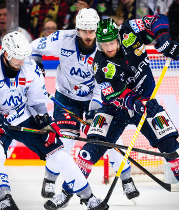 Adler Mannheim Spielbericht F4