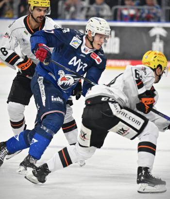 Adler Mannheim Spielbericht FRA v2