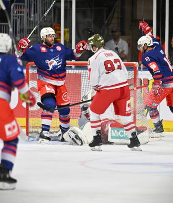 Adler Mannheim Spielbericht HCB