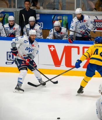 Adler Mannheim Spielbericht HCD