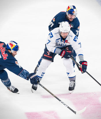 Adler Mannheim Spielbericht HF2