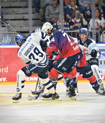 Adler Mannheim Spielbericht IEC v2