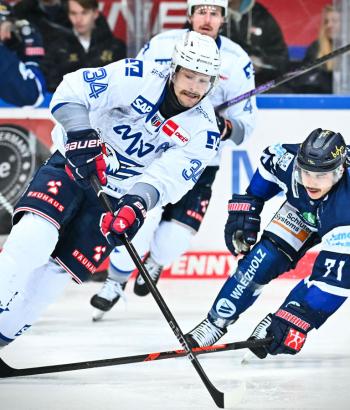 Adler Mannheim Spielbericht IEC v8