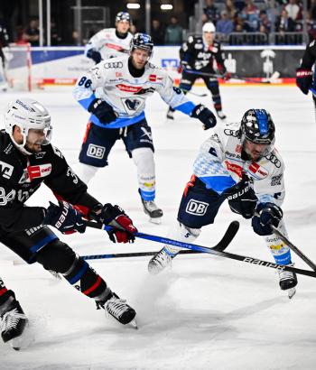 Adler Mannheim Spielbericht ING v2