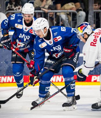 Adler Mannheim Spielbericht RBM v3