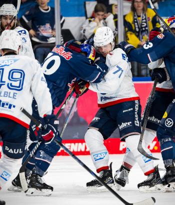Adler Mannheim Spielbericht RBM v5