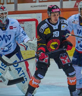 Adler Mannheim Spielbericht SCB v2