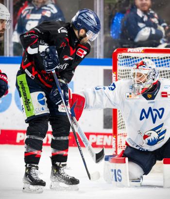 Adler Mannheim Spielbericht STR v2