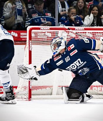 Adler Mannheim Spielbericht SWW v6