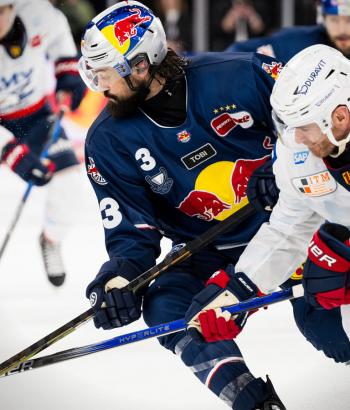 Adler Mannheim Spielbericht VF4 v2