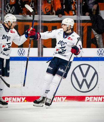 Adler Mannheim Spielbericht WOB