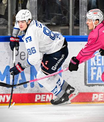 Adler Mannheim Stimmen NIT