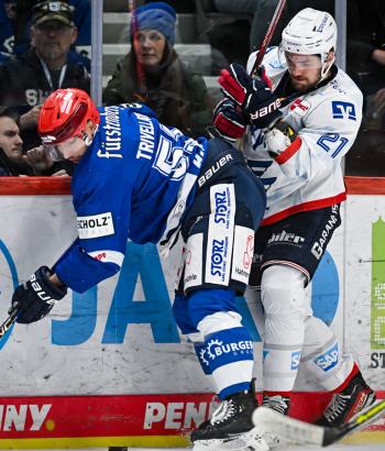 Adler Mannheim Stimmen v3