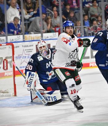 Adler Mannheim Stimmen AEV v2