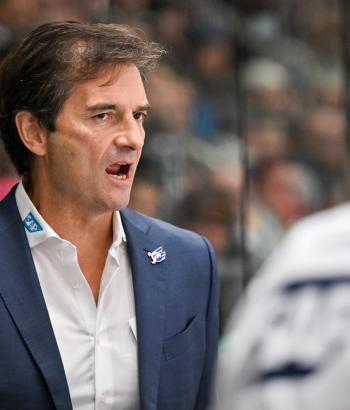 Adler Mannheim Stimmen AEV v3
