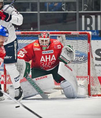 Adler Mannheim Stimmen AEV v4
