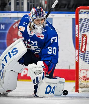 Adler Mannheim Stimmen AEV v5