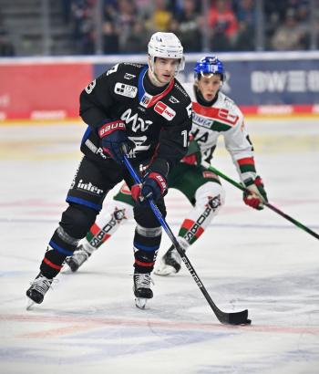 Adler Mannheim Stimmen AEV v6