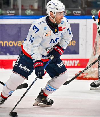 Adler Mannheim Stimmen AEV v8