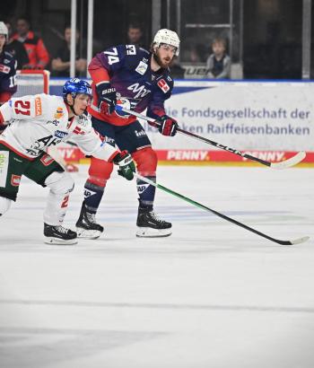 Adler Mannheim Stimmen AEV