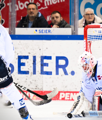 Adler Mannheim Stimmen BHV v2