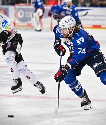 Adler Mannheim Stimmen BHV v5