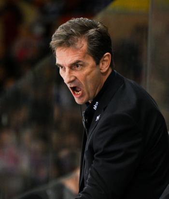 Adler Mannheim Stimmen BHV v7