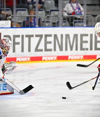 Adler Mannheim Stimmen BHV