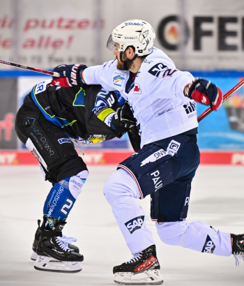 Adler Mannheim Stimmen BHV