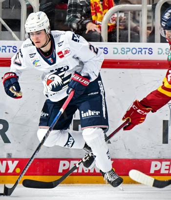 Adler Mannheim Stimmen DEG v2