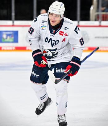 Adler Mannheim Stimmen DEG v3