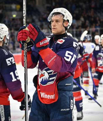Adler Mannheim Stimmen DEG v4