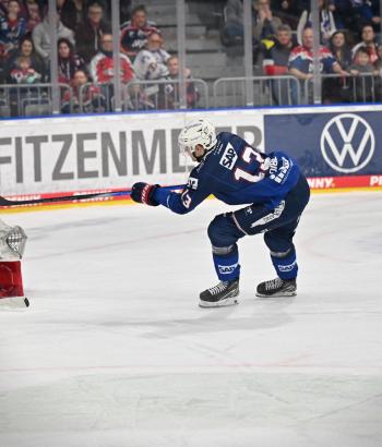 Adler Mannheim Stimmen DEG v5