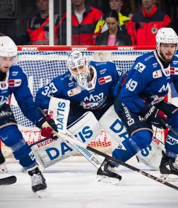 Adler Mannheim Stimmen DEG v6