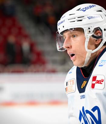 Adler Mannheim Stimmen DEG v7