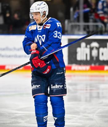 Adler Mannheim Stimmen DEG v8