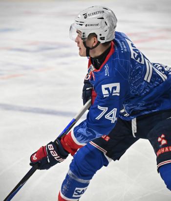 Adler Mannheim Stimmen DRE v2