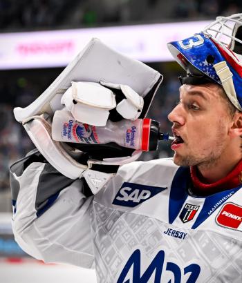 Adler Mannheim Stimmen DRE