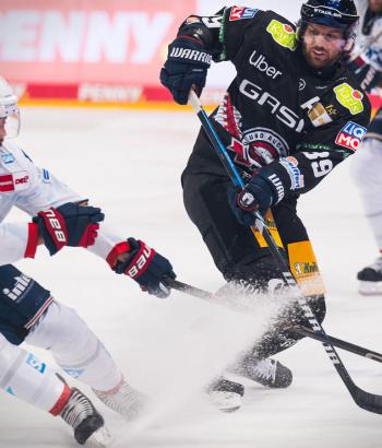 Adler Mannheim Stimmen EBB v4